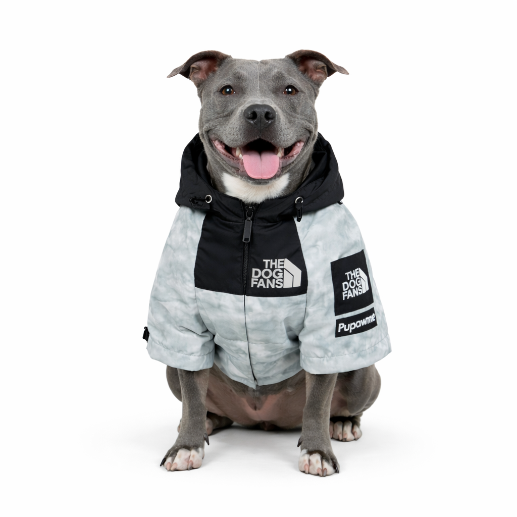 Chaqueta Impermeable TDF