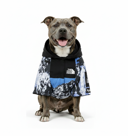 Chaqueta Impermeable TDF