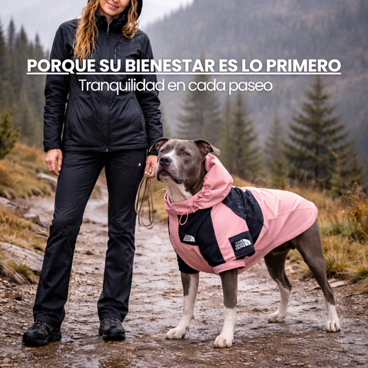 Chaqueta Impermeable TDF